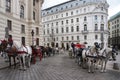 carriages with horses for tour of vienna