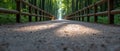 A path through a bamboo forest. Royalty Free Stock Photo