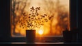 A plant in a pot sits on a windowsill, with a sunset visible through the window. Royalty Free Stock Photo