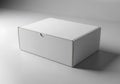 Empty white cardboard box Royalty Free Stock Photo