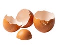 Broken eggshells on white background Royalty Free Stock Photo
