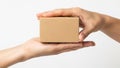 Hands exchanging a small box Royalty Free Stock Photo