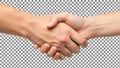 Two hands shaking Royalty Free Stock Photo