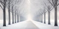 rural winter. Road, driveway, path, boulevard, byway, route, track, trail, street, row of trees. Royalty Free Stock Photo