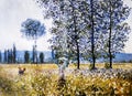 impressionist style painting titled fields in spring by claude monet