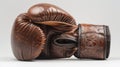 Image Description A highquality leather boxing glove with a sleek and simple design. The brands logo is embossed on the