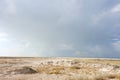 Etosha landscape