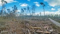 Image of a destroyed forest area after a storm in Germany Royalty Free Stock Photo