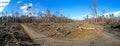 Image of a destroyed forest area after a storm in Germany Royalty Free Stock Photo