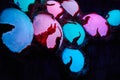 Detail of colorful orbs on wall in art display