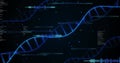 Image of digital data processing and dna strands on black background Royalty Free Stock Photo