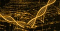 Image of digital data processing and dna strands on black background Royalty Free Stock Photo