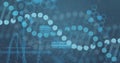 Image of digital data processing over dna strand spinning