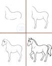This image is a digital drawing divided into four quadrants, each depicting a different stage in the process of drawing a horse Royalty Free Stock Photo