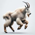 Image of isolated mountain goat against pure white background, ideal for presentations Royalty Free Stock Photo