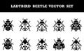 Cute and detailed ladybird beetle vector set featuring various designs and styles perfect for graphic design projects Royalty Free Stock Photo