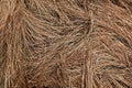 The image displays a dense collection of dry, brown grass strands intermingling with each other