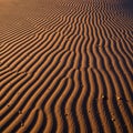 Displays a desert landscape with rippled sand dunes, characterized by Royalty Free Stock Photo