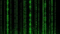 A digital rain of vibrant green binary code cascading down a dark black background representing data streams Royalty Free Stock Photo