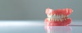 Denture Prosthesis Showcasing Teeth and Gum Anatomy: Dental Dentures Education: Senior Dentist Care: Ceramic Teeth Set
