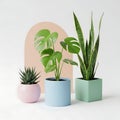 Three vibrant houseplants in colorful geometric pots against a minimalist background Royalty Free Stock Photo