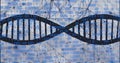 Image of dna strand with binary coding data processing over network of connections Royalty Free Stock Photo