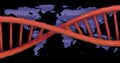 Image of dna strand and data processing over world map