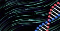 Image of dna strand and green and blue trails on black background