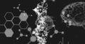 Image of dna strand, human brain, medical data processing and chemical compound structures on green Royalty Free Stock Photo