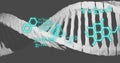 Image of dna strand, mathematical formulae and scientific data processing over grey background Royalty Free Stock Photo
