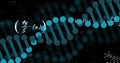 Image of dna strand over mathematical equations