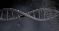 Image of dna strand spinning and data processing on grey background Royalty Free Stock Photo