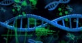 Image of dna strands and data processing on black background Royalty Free Stock Photo