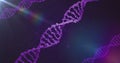 Image of dna strands and data processing over dark background Royalty Free Stock Photo