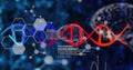 Image of dna strands with data processing over human brains