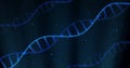 Image of dna strands over blue spots moving Royalty Free Stock Photo