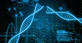 Image of dna strands over data processing Royalty Free Stock Photo