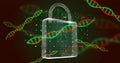 Image of dna strands, scientific data processing over padlock Royalty Free Stock Photo