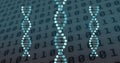 Image of dna strands spinning over binary coding data processing Royalty Free Stock Photo
