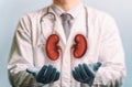 Concept of a healthy kidneys. Royalty Free Stock Photo