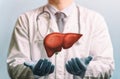 Concept of healthy liver and donation Royalty Free Stock Photo