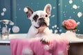 Dog Doggie Spa Day with Bubble Baths, dog care routine, luxury dog life Royalty Free Stock Photo