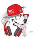 The image of the dog in the glasses, headphones and in hip-hop hat. Vector illustration.