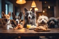 Dog Playdate with Other Furry Friends, dog care routine, luxury dog life