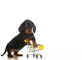 Image of dog trolley white background