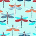 the image of dragonflies Royalty Free Stock Photo
