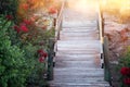 image of dreamy old woods stairs in the woods