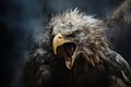 Image of an eagle in the forest with a scary atmosphere, Bird, Wildlife Animals., Generative AI, Illustration Royalty Free Stock Photo
