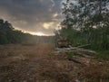 Early morning scene of tractor left on the vacant land.