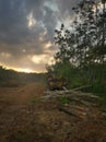 Early morning scene of tractor left on the vacant land.